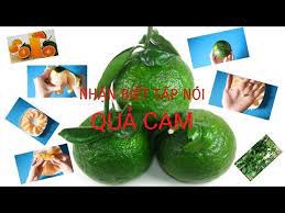 Ảnh đại diện